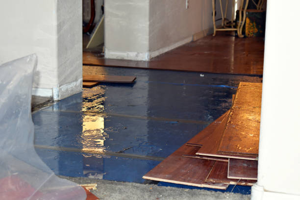 Professional Flood Damage Restoration technician working in Roselle Park, NJ